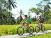 Bali Kintamani Cycling Tour